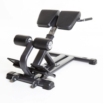 Banc de musculation ajustable pour dos et lombraire
