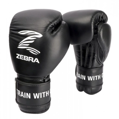 Boxhandschuhe „PRO SIGNATURE VELCRO“