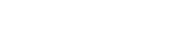 AktivPAVI
