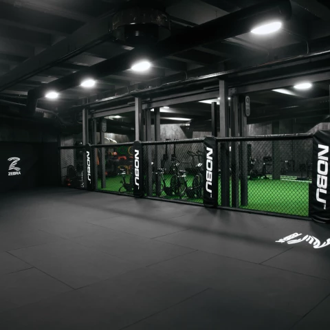 Le MMA en Suisse : Un sport en plein essor, qui attire de plus en plus de passionnés !