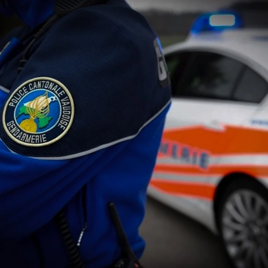 Forces Armées et Services de Sécurité