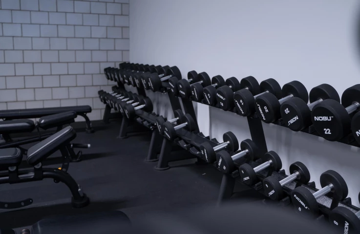 Krafttraining und Freihanteln